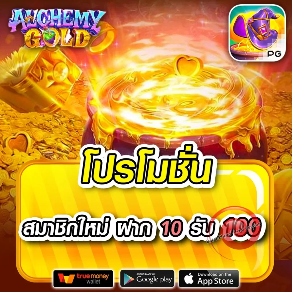 dasd-697 เว็บสุดฮิต